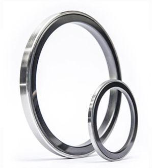 seal ring product